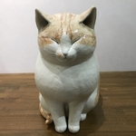 暖かい日差しを浴びて無念無双の構えの猫