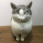 横綱級の堂々たるボリュームの猫